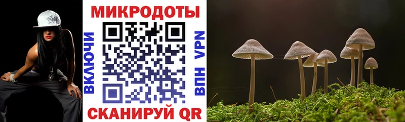 Галлюциногенные грибы прущие грибы  Циолковский 